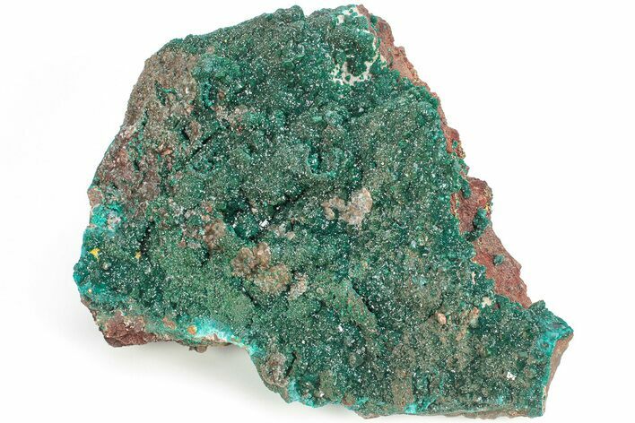 Huge, Sparkling Dioptase Crystal Cluster - N'tola Mine, Congo #209711